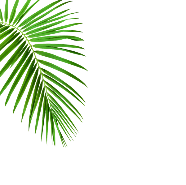 Decorative 9