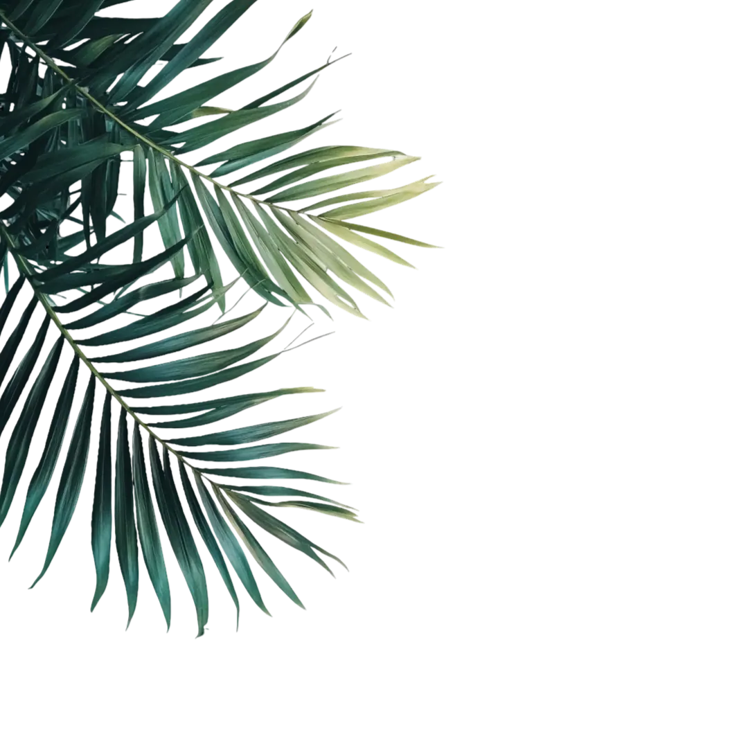 Decorative leaves