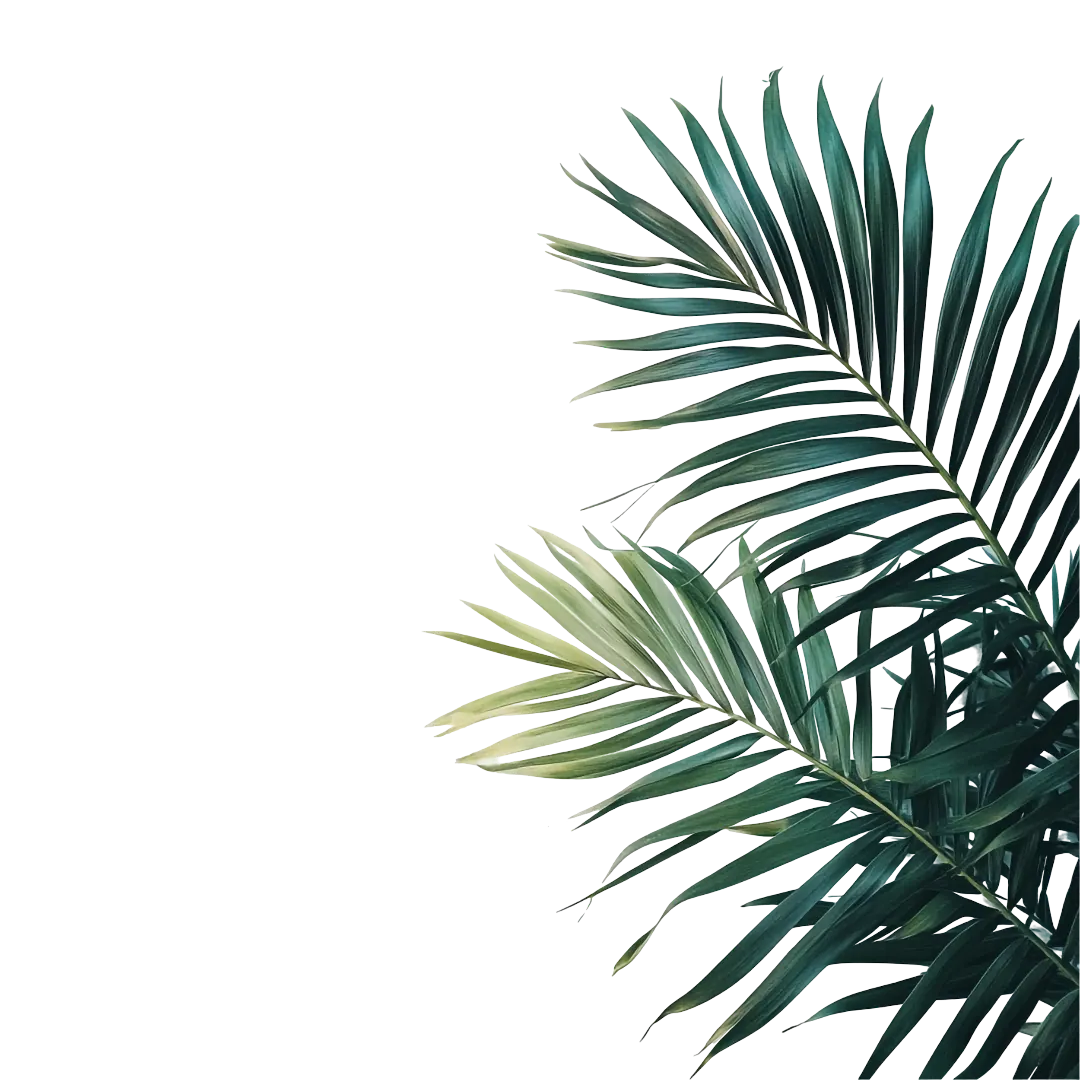 Decorative leaves