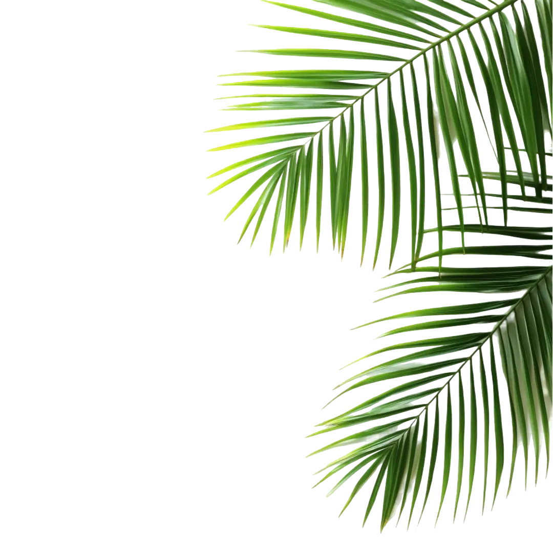 Decorative leaves